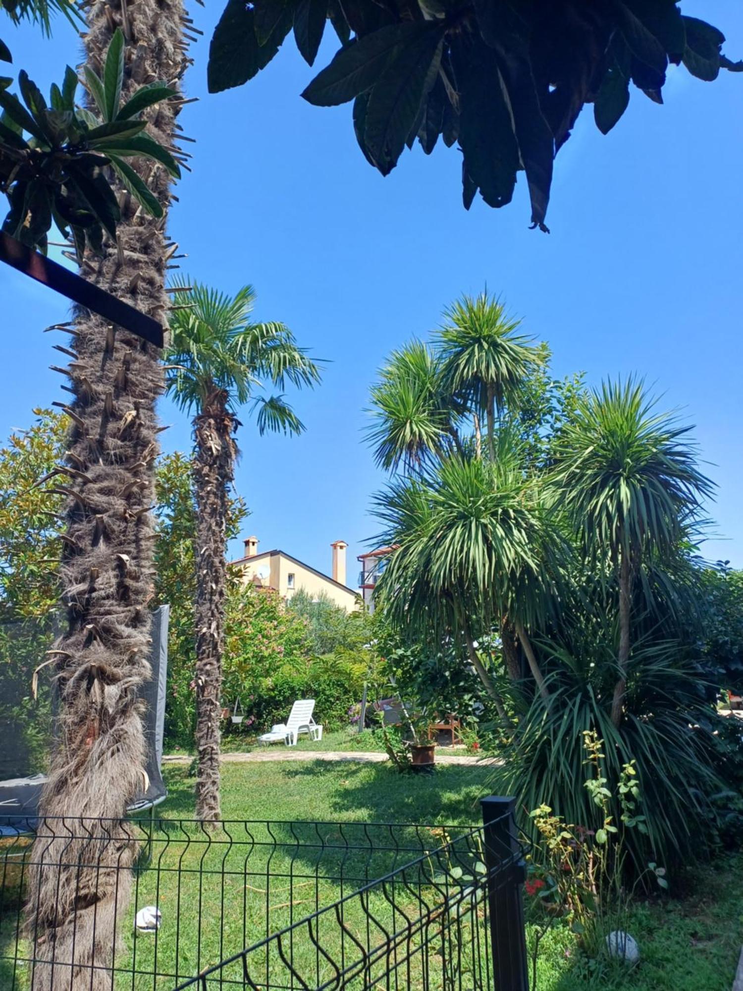 Odak App Rovinj Extérieur photo